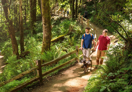 The Best Outdoor Running and Walking Trails near Fitness Centers in Clackamas County, OR